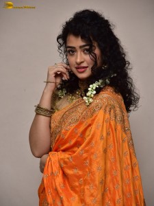 actress Apsara Rani red-hot looks in a orange saree