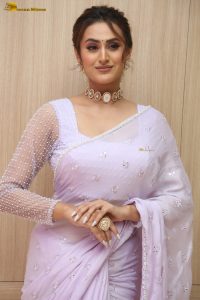 actress archana iyer gorgeous in a saree