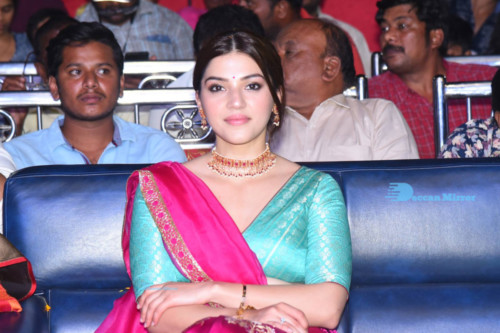Pictures from Aswathama movie Audio launch