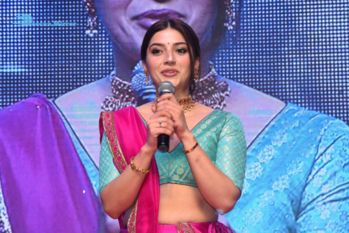 Pictures from Aswathama movie Audio launch