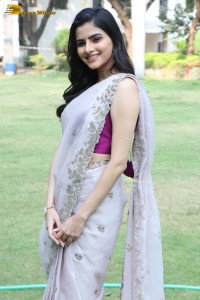 Actress Avantika Dassani photoshoot in a light pink saree