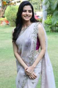 Actress Avantika Dassani photoshoot in a light pink saree