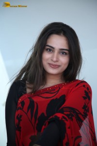 Telugu Actress Ayesha Khan lovely pictures in a red and black saree