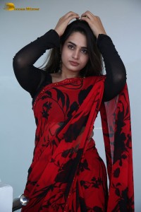 Telugu Actress Ayesha Khan lovely pictures in a red and black saree