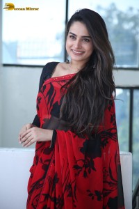 Telugu Actress Ayesha Khan lovely pictures in a red and black saree