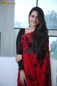 Telugu Actress Ayesha Khan lovely pictures in a red and black saree