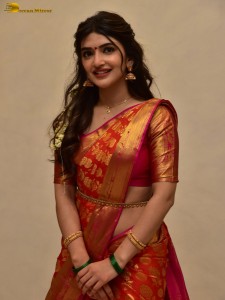 Bhagavanth Kesari Blockbuster Sher Tour - Day 2 attended by Actress Sreeleela and Director Anil Ravipudi