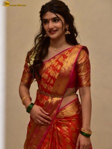 Bhagavanth Kesari Blockbuster Sher Tour - Day 2 attended by Actress Sreeleela and Director Anil Ravipudi