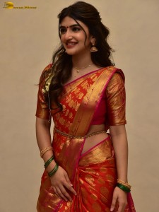 Bhagavanth Kesari Blockbuster Sher Tour - Day 2 attended by Actress Sreeleela and Director Anil Ravipudi