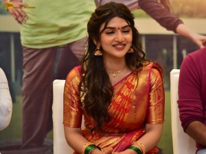 Bhagavanth Kesari Blockbuster Sher Tour - Day 2 attended by Actress Sreeleela and Director Anil Ravipudi