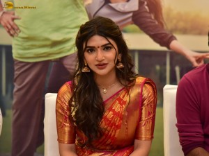 Bhagavanth Kesari Blockbuster Sher Tour - Day 2 attended by Actress Sreeleela and Director Anil Ravipudi