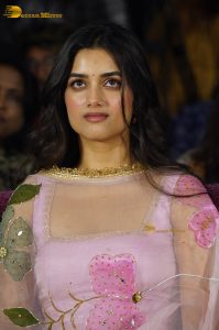 Bhagyashri Borse Picture Gallery 6