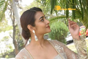 Actress Bhanu Sri Photoshoot