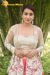 Actress Bhanu Sri Photoshoot