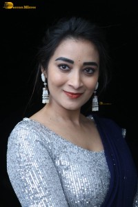telugu film actress bhanu sri photoshoot in a silver blouse
