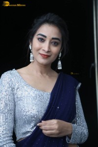 telugu film actress bhanu sri photoshoot in a silver blouse