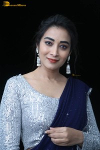 telugu film actress bhanu sri photoshoot in a silver blouse