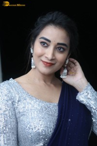 telugu film actress bhanu sri photoshoot in a silver blouse