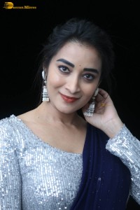 telugu film actress bhanu sri photoshoot in a silver blouse