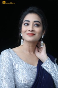 telugu film actress bhanu sri photoshoot in a silver blouse