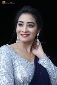 telugu film actress bhanu sri photoshoot in a silver blouse