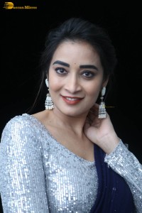 telugu film actress bhanu sri photoshoot in a silver blouse