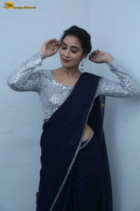 telugu film actress bhanu sri photoshoot in a silver blouse