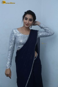 telugu film actress bhanu sri photoshoot in a silver blouse