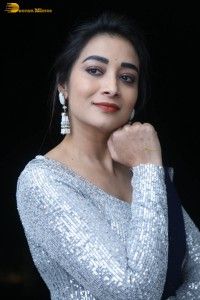 telugu film actress bhanu sri photoshoot in a silver blouse