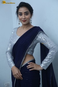 telugu film actress bhanu sri photoshoot in a silver blouse