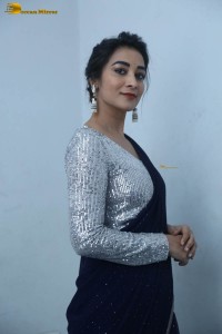 telugu film actress bhanu sri photoshoot in a silver blouse