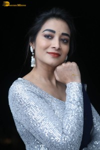 telugu film actress bhanu sri photoshoot in a silver blouse