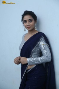telugu film actress bhanu sri photoshoot in a silver blouse