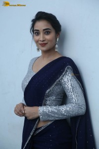 telugu film actress bhanu sri photoshoot in a silver blouse