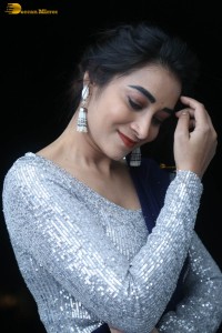 telugu film actress bhanu sri photoshoot in a silver blouse
