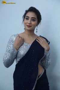 telugu film actress bhanu sri photoshoot in a silver blouse