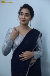 telugu film actress bhanu sri photoshoot in a silver blouse