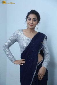 telugu film actress bhanu sri photoshoot in a silver blouse