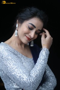 telugu film actress bhanu sri photoshoot in a silver blouse