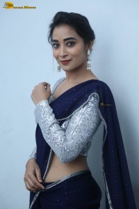 telugu film actress bhanu sri photoshoot in a silver blouse