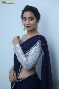 telugu film actress bhanu sri photoshoot in a silver blouse