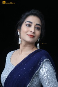 telugu film actress bhanu sri photoshoot in a silver blouse
