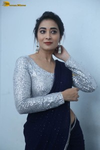 telugu film actress bhanu sri photoshoot in a silver blouse