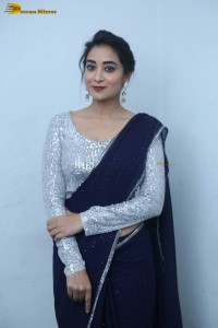 telugu film actress bhanu sri photoshoot in a silver blouse