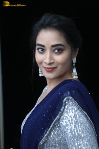 telugu film actress bhanu sri photoshoot in a silver blouse