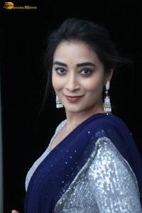 telugu film actress bhanu sri photoshoot in a silver blouse