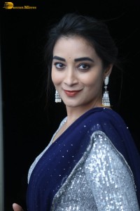 telugu film actress bhanu sri photoshoot in a silver blouse