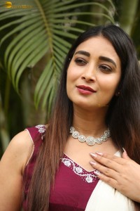 actress Bhanu Sri photoshoot in a white saree