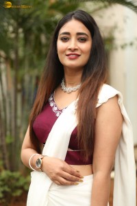 actress Bhanu Sri photoshoot in a white saree
