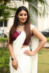 actress Bhanu Sri photoshoot in a white saree